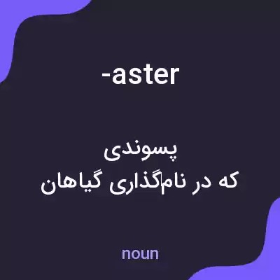معنی -aster به فارسی