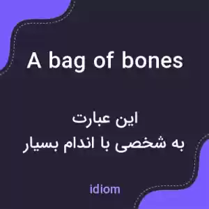 معنی a bag of bones به فارسی
