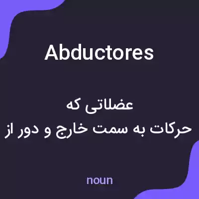 معنی abductores به فارسی معنی abductores به فارسی