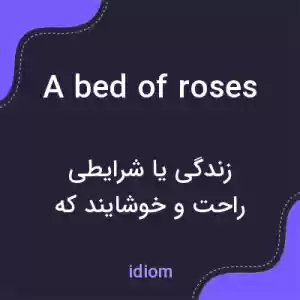 معنی a bed of roses به فارسی