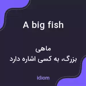 معنی a big fish به فارسی