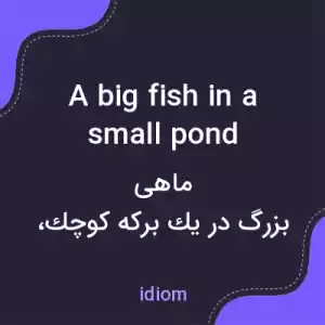 معنی a big fish in a small pond به فارسی معنی a big fish in a small pond به فارسی