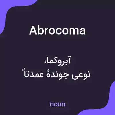 معنی abrocoma به فارسی معنی abrocoma به فارسی