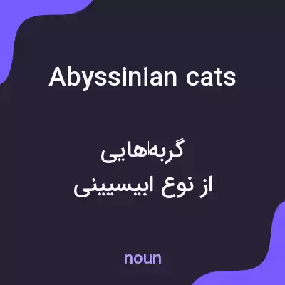معنی abyssinian cats به فارسی معنی abyssinian cats به فارسی
