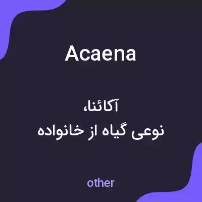 معنی acaena به فارسی معنی acaena به فارسی
