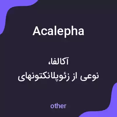 معنی acalepha به فارسی معنی acalepha به فارسی
