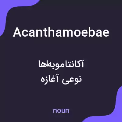 معنی acanthamoebae به فارسی معنی acanthamoebae به فارسی
