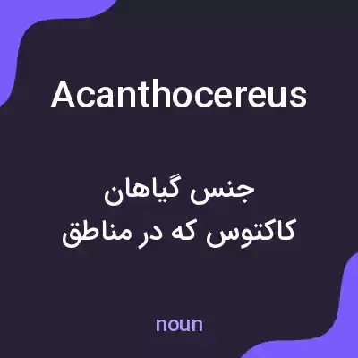 معنی acanthocereus به فارسی معنی acanthocereus به فارسی