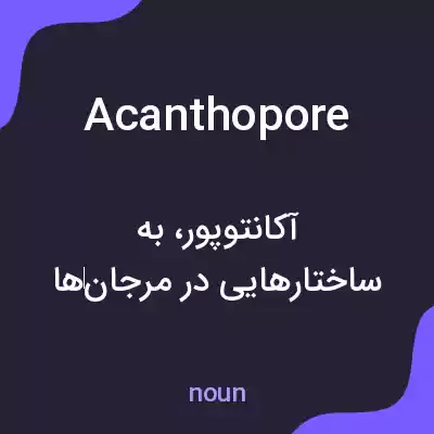 معنی acanthopore به فارسی معنی acanthopore به فارسی