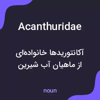 معنی acanthuridae به فارسی