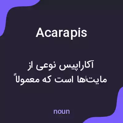 معنی acarapis به فارسی