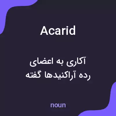 معنی acarid به فارسی معنی acarid به فارسی