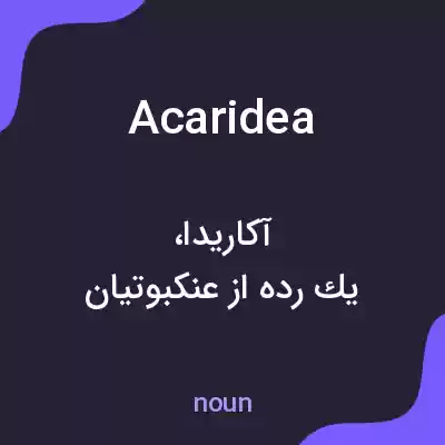 معنی acaridea به فارسی معنی acaridea به فارسی