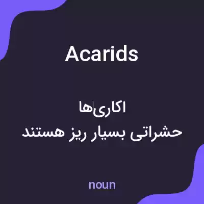 معنی acarids به فارسی معنی acarids به فارسی