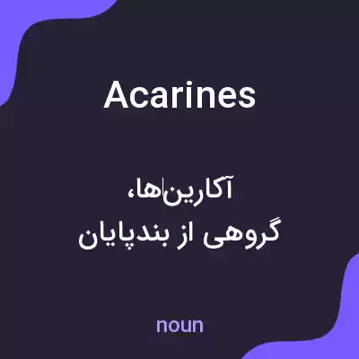 معنی acarines به فارسی معنی acarines به فارسی
