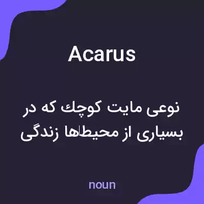 معنی acarus به فارسی معنی acarus به فارسی