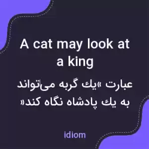 معنی a cat may look at a king به فارسی معنی a cat may look at a king به فارسی