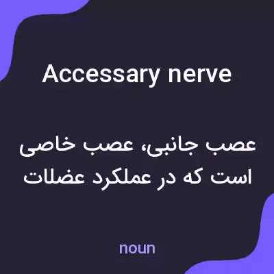 معنی accessary nerve به فارسی معنی accessary nerve به فارسی