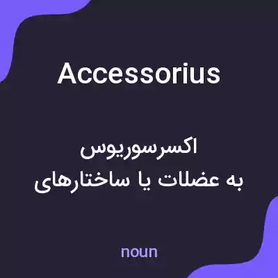 معنی accessorius به فارسی معنی accessorius به فارسی