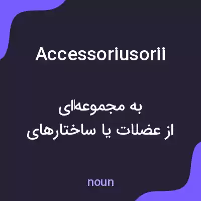 معنی accessoriusorii به فارسی معنی accessoriusorii به فارسی