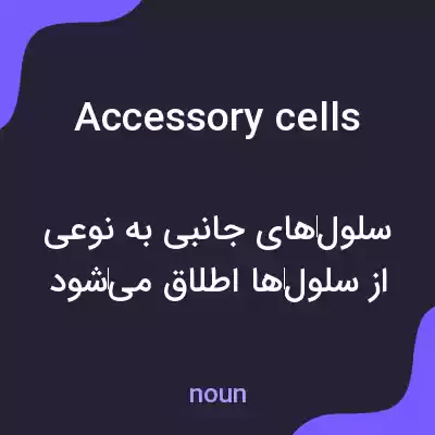 معنی accessory cells به فارسی معنی accessory cells به فارسی