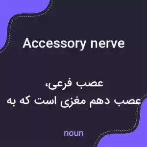 معنی accessory nerve به فارسی