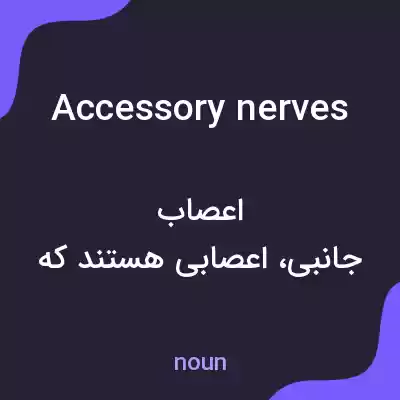 معنی accessory nerves به فارسی معنی accessory nerves به فارسی