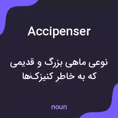معنی accipenser به فارسی معنی accipenser به فارسی