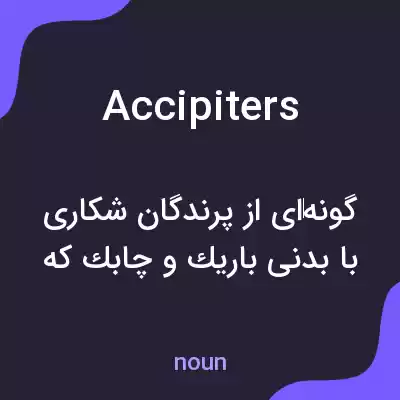 معنی accipiters به فارسی معنی accipiters به فارسی