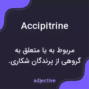 معنی accipitrine به فارسی معنی accipitrine به فارسی