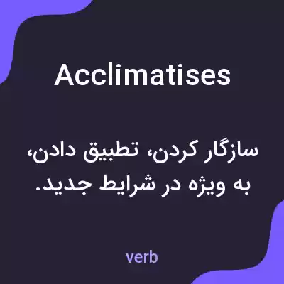 معنی acclimatises به فارسی