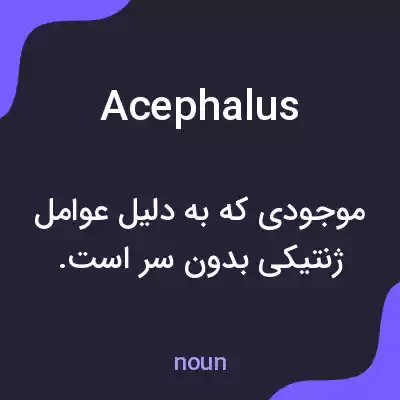 معنی acephalus به فارسی معنی acephalus به فارسی