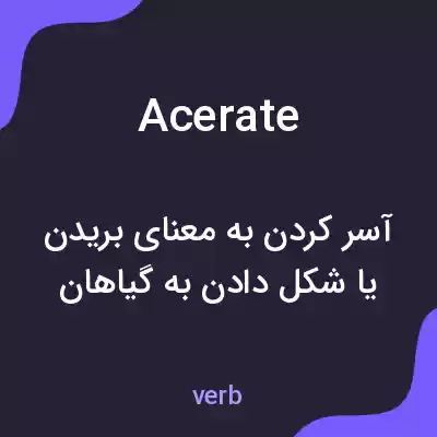 معنی acerate به فارسی معنی acerate به فارسی