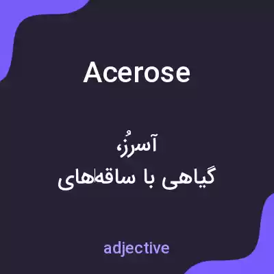 معنی acerose به فارسی معنی acerose به فارسی