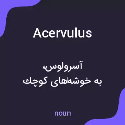 معنی acervulus به فارسی