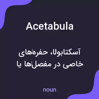معنی acetabula به فارسی معنی acetabula به فارسی
