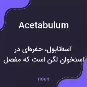 معنی acetabulum به فارسی معنی acetabulum به فارسی