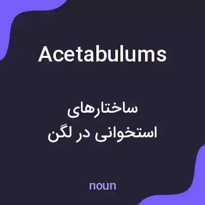 معنی acetabulums به فارسی معنی acetabulums به فارسی
