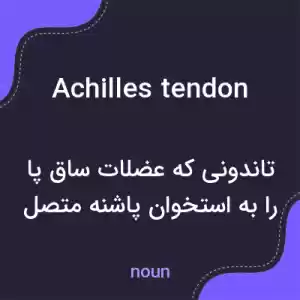معنی achilles tendon به فارسی معنی achilles tendon به فارسی
