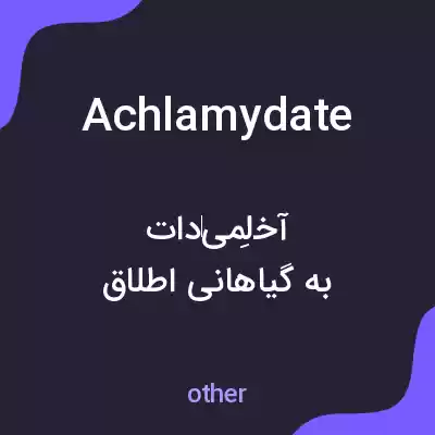 معنی achlamydate به فارسی معنی achlamydate به فارسی
