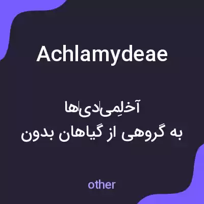 معنی achlamydeae به فارسی معنی achlamydeae به فارسی