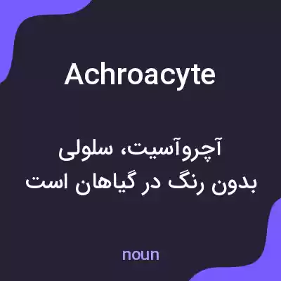 معنی achroacyte به فارسی معنی achroacyte به فارسی