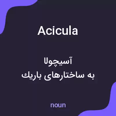 معنی acicula به فارسی معنی acicula به فارسی