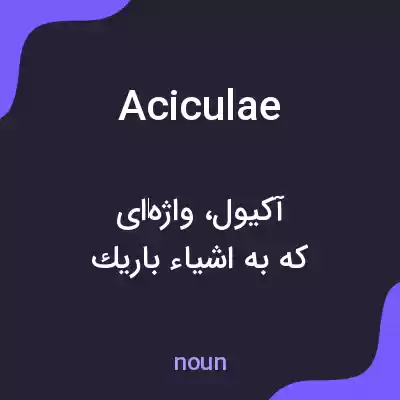 معنی aciculae به فارسی معنی aciculae به فارسی