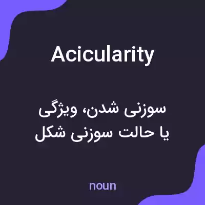 معنی acicularity به فارسی معنی acicularity به فارسی