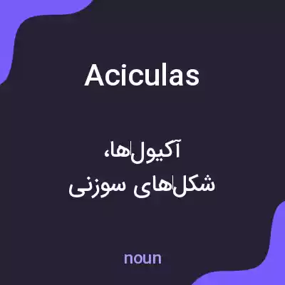 معنی aciculas به فارسی معنی aciculas به فارسی