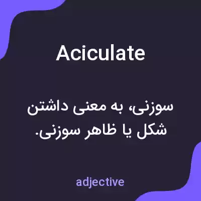 معنی aciculate به فارسی