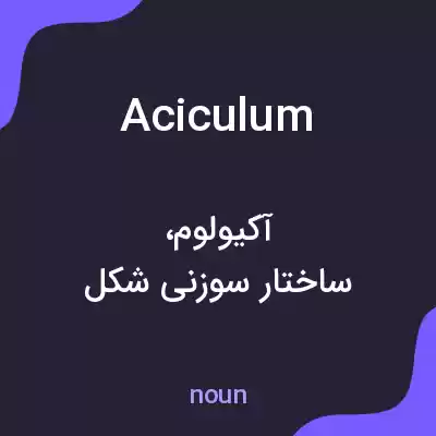 معنی aciculum به فارسی معنی aciculum به فارسی