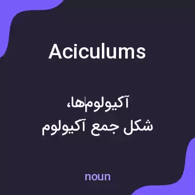 معنی aciculums به فارسی معنی aciculums به فارسی