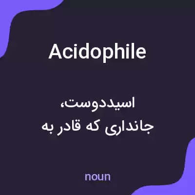 معنی acidophile به فارسی معنی acidophile به فارسی